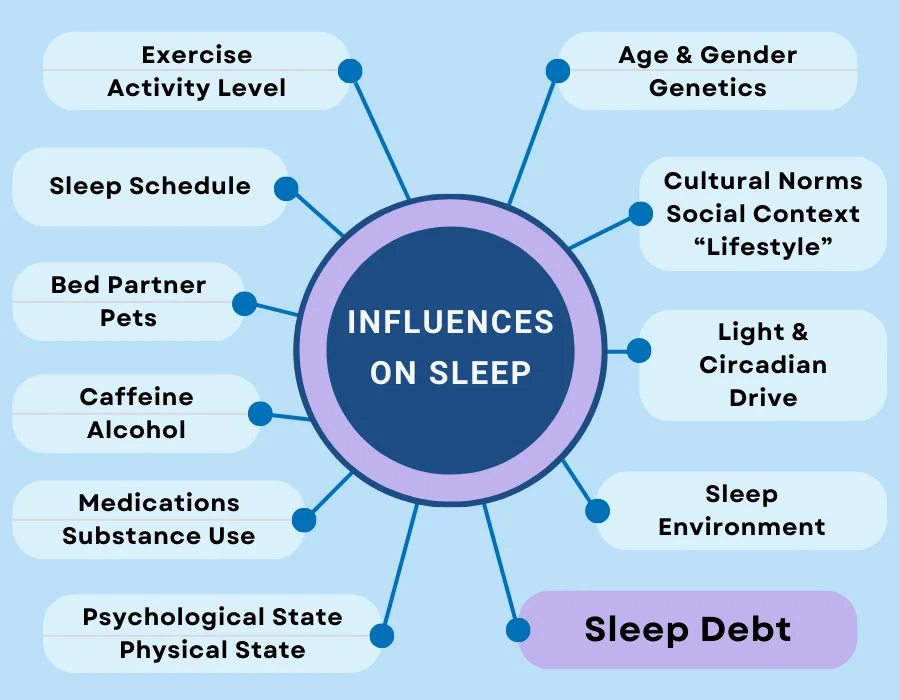 Sleep Influences Chart - Sleep Debt