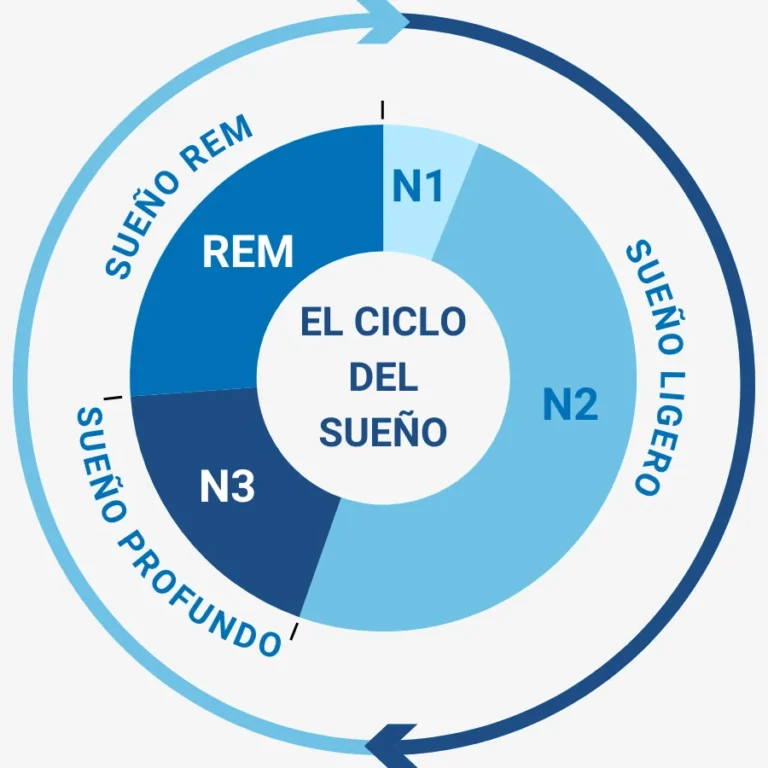 ciclo del sueno 2