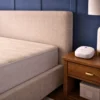 sleep wave device 1