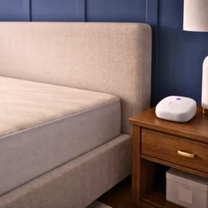 sleep wave device 1